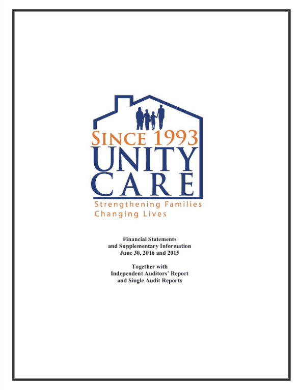 2016 financial report cover